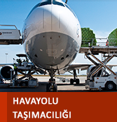 havayolu